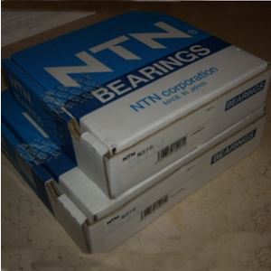 NTN N319 Cylindrical roller bearing