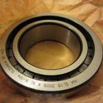 INA SL183009AXL Cylindrical roller bearings