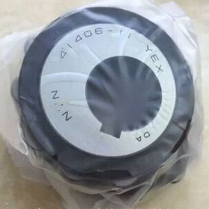 NTN 4142125 Eccentric Bearing