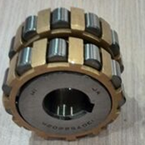 NTN 6092529 YRX Eccentric Bearing