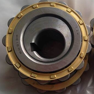 KOYO RN313M+17 Eccentric Bearing