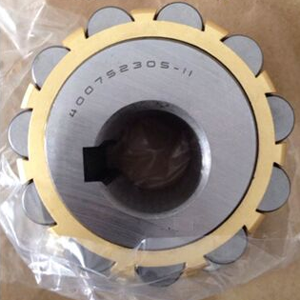 NTN 400752305-11 Eccentric Bearing