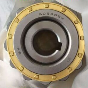 NTN 502309H Eccentric Bearing