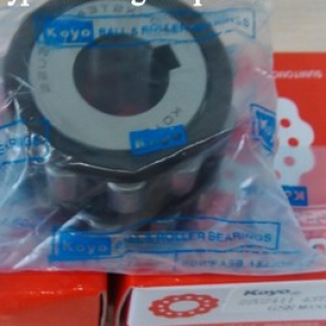 KOYO 22UZ21106T2 PX1 Eccentric bearing