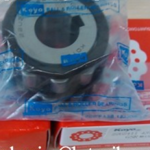 KOYO 61687 YSX Eccentric bearing