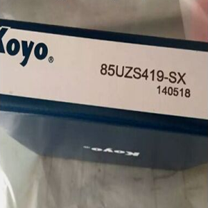 KOYO 85UZS419 Eccentric Bearing